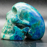 Quantum Silica Quatro Human Skull