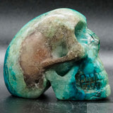 Quantum Silica Quatro Human Skull