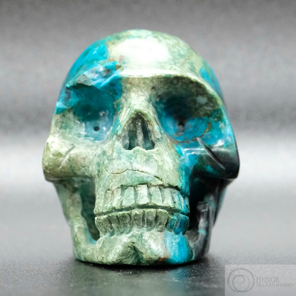 Quantum Silica Quatro Skull