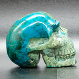 Quantum Silica Quatro Skull