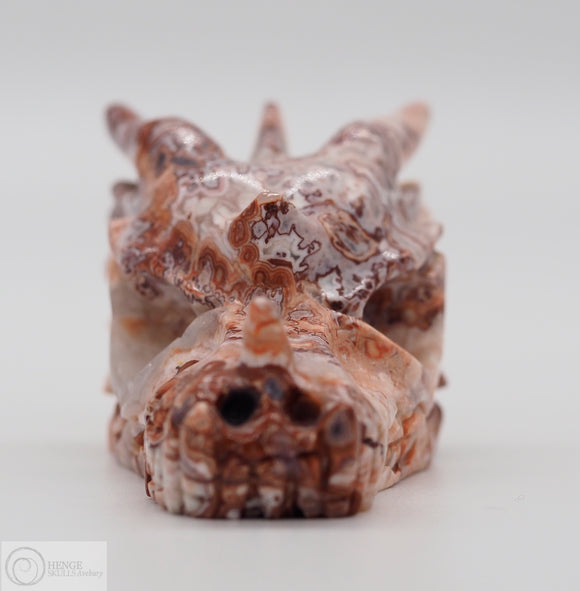 Rosetta Stone Dragon (R14)