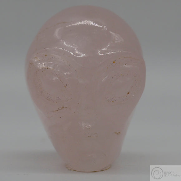 Rose Quartz Starbeing Skull (RQ17)