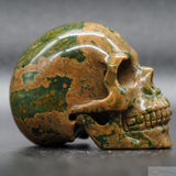 Rainforest Jasper Human Skull (RJ11)