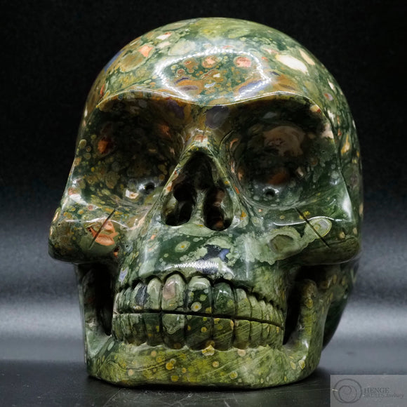 Rainforest Jasper Human Skull (RJ08)