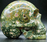 Rainforest Jasper Human Skull (RJ08)