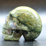 Rainforest Jasper Human Skull (RJ05)