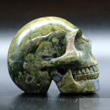 Rainforest Jasper Human Skull (RJ05)