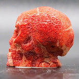 Red Coral Human Skull
