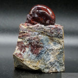 Red Pietersite Human Skull (RP01)