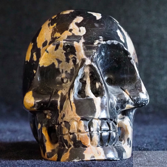 Roan Marble Skull