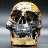Roan Marble Human Skull (RM02)