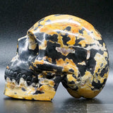 Roan Marble Human Skull (RM02)