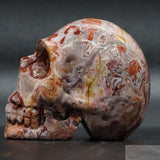 Rosetta Stone Human Skull (R11)