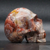 Rosetta Stone Human Skull (R11)