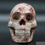 Rosetta Human Skull