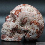 Rosetta Human Skull