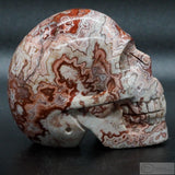 Rosetta Human Skull
