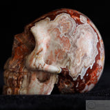 Rosetta Stone Human Skull (RO9)