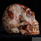 Rosetta Stone Human Skull (RO9)