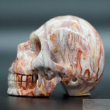 Rosetta Stone Skull