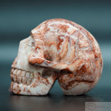 Rosetta Stone Human Skull (RO6)