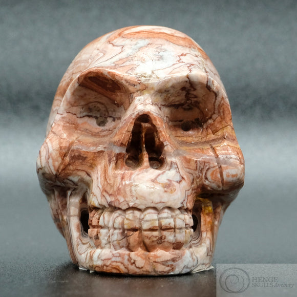 Rosetta Stone Human Skull (RO5)