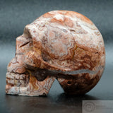 Rosetta Stone Human Skull (RO5)