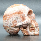 Rosetta Stone Human Skull (RO5)