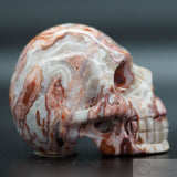 Rosetta Stone Skull