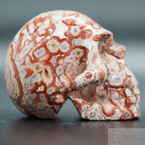 Rosetta Stone Skull