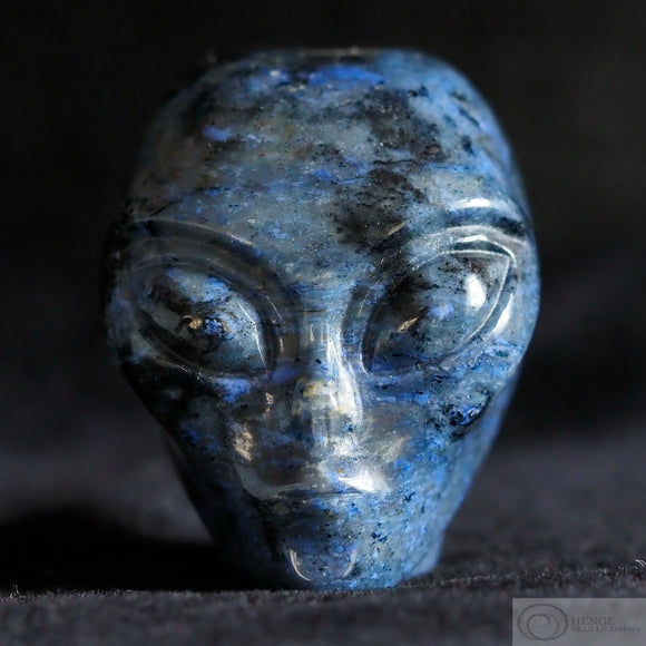 Royal Dumortierite Star Being