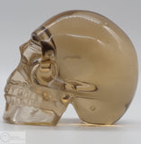 Smoky Citrine Skull (SC11)