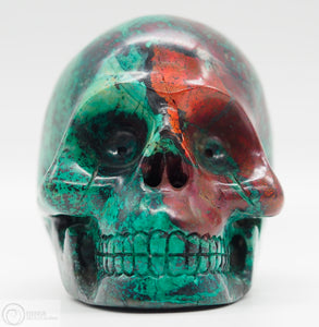 Sonora Sunrise Skull (SS17)