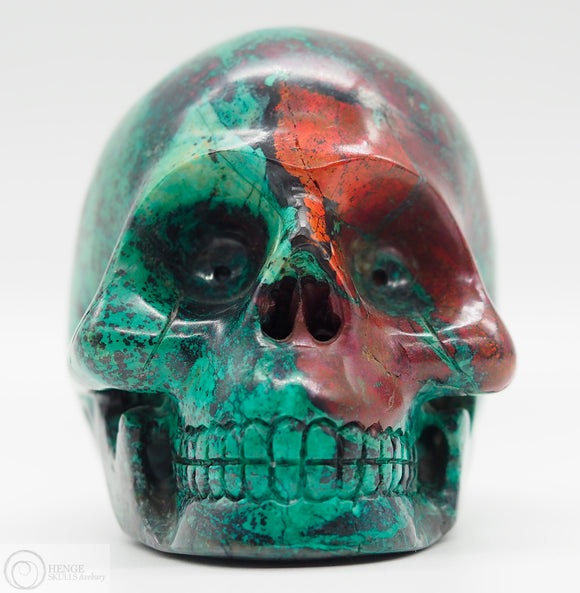Sonora Sunrise Skull (SS17)