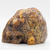 Sandstone Skull (Sand01)