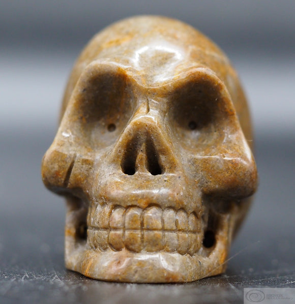 Sarsen Human Skull