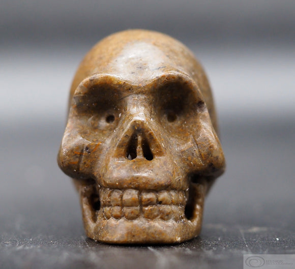 Sarsen Human Skull