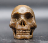 Sarsen Human Skull