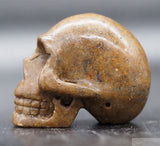 Sarsen Human Skull