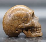 Sarsen Human Skull