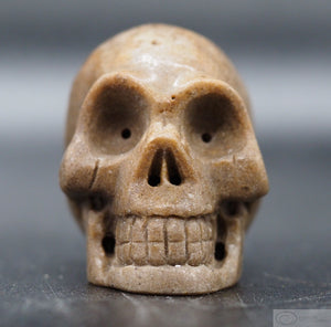 Sarsen Human Skull
