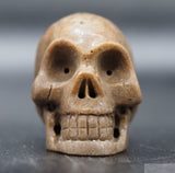 Sarsen Human Skull
