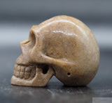 Sarsen Human Skull