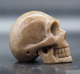 Sarsen Human Skull