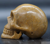 Sarsen Human Skull