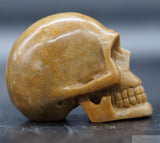 Sarsen Human Skull
