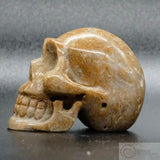 Sarsen Skull