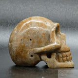 Sarsen Skull