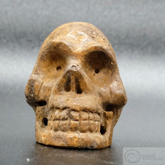 Sarsen Skull