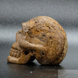 Sarsen Skull